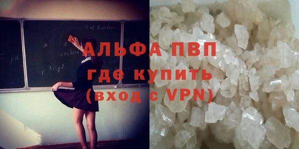 бошки Богданович