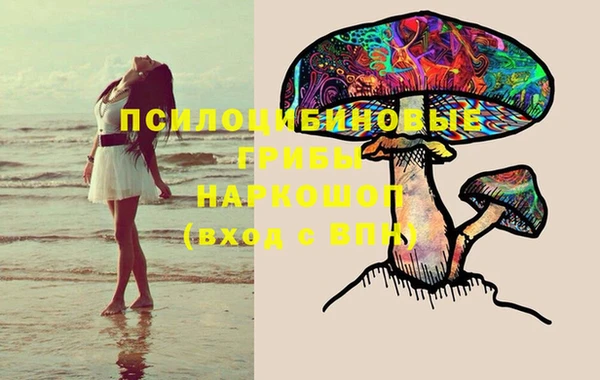 мяу мяу мука Беломорск