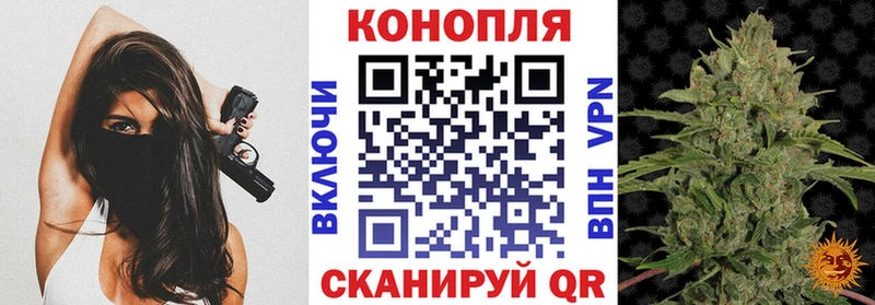 закладки  Малая Вишера  Канабис ГИДРОПОН 